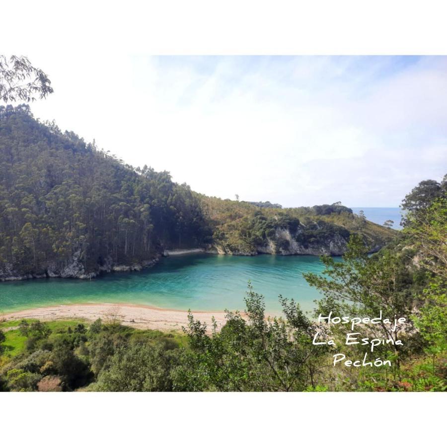 Hospedaje La Espina De Pechón Exteriér fotografie